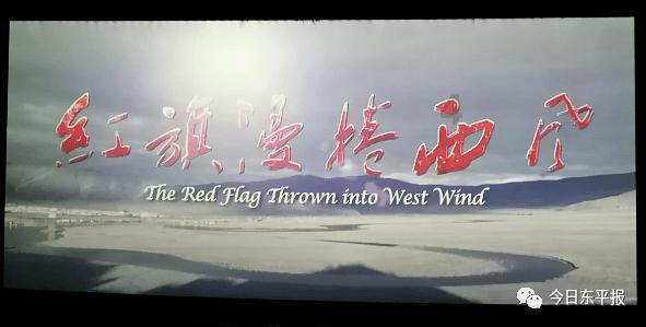创作猫